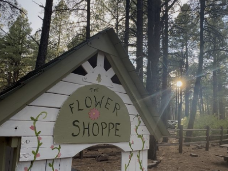 A Budget Friendly Weekend in Flagstaff with Kids: Your Guide!